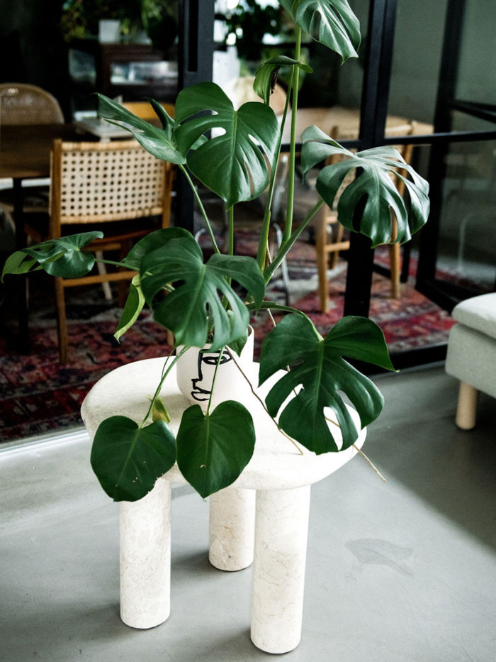 mdezeiner, by bjørkheim, marmorbord, jawa collection, bowy, marmorskål